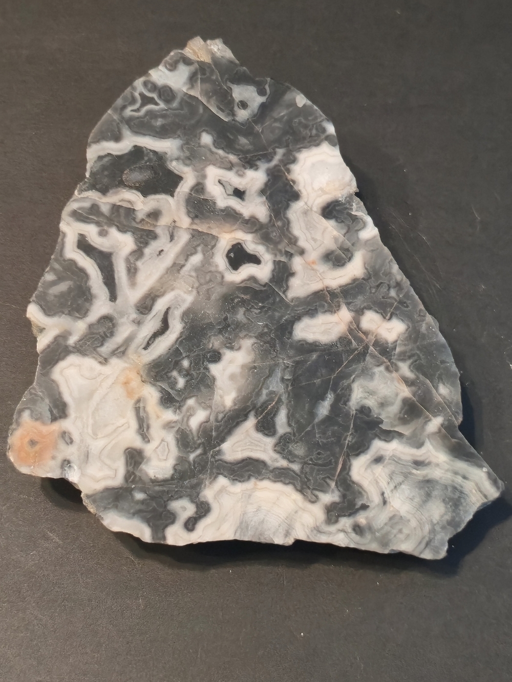 🤍 Large Tuxedo Lace Agate Slab • 17.6 oz • Black & White Agate 🪨✨